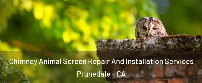 Chimney Animal Screen Repair And Installation Services Prunedale - CA