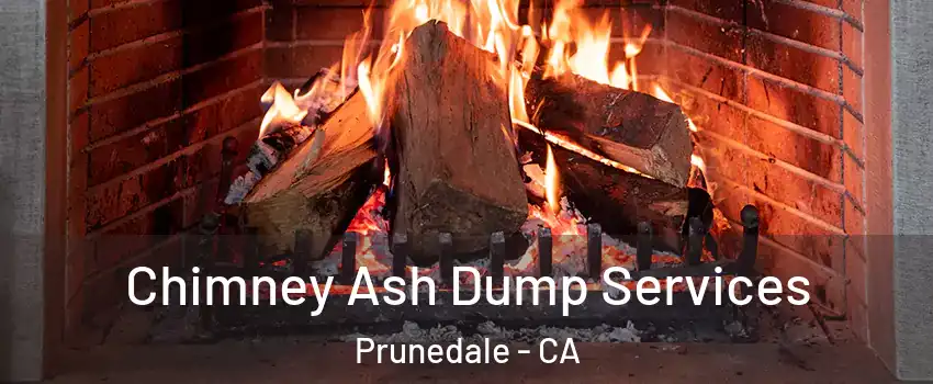  Chimney Ash Dump Services Prunedale - CA