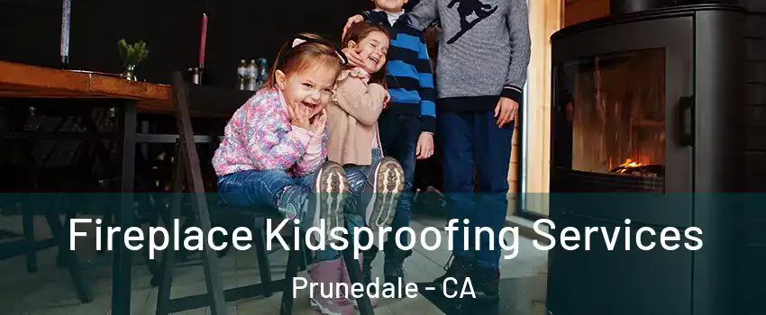  Fireplace Kidsproofing Services Prunedale - CA
