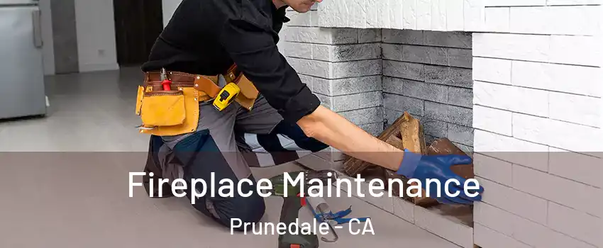 Fireplace Maintenance Prunedale - CA