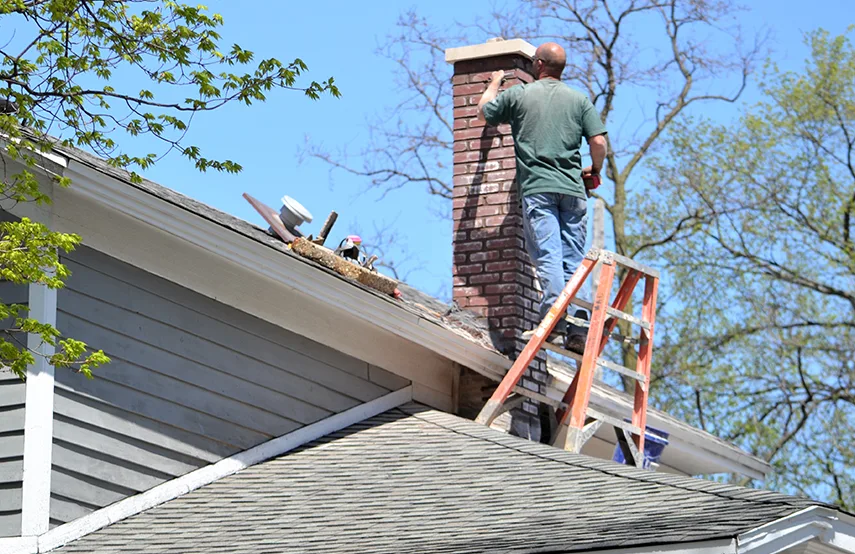 Chimney & Fireplace Inspections Services in Prunedale, CA