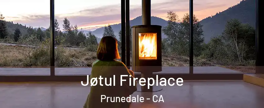  Jøtul Fireplace Prunedale - CA