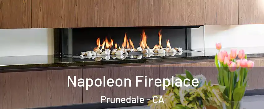 Napoleon Fireplace Prunedale - CA