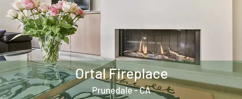  Ortal Fireplace Prunedale - CA
